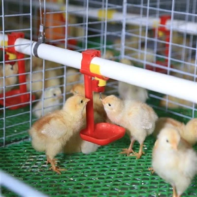 Sistem Bekalan Air Sangkar Ayam